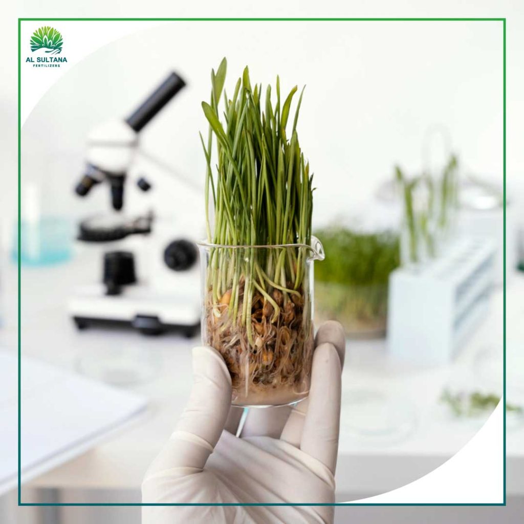 Types of Fertilizers Produced by Al Sultana:Your Guide to Choosing the Right Fertilizer