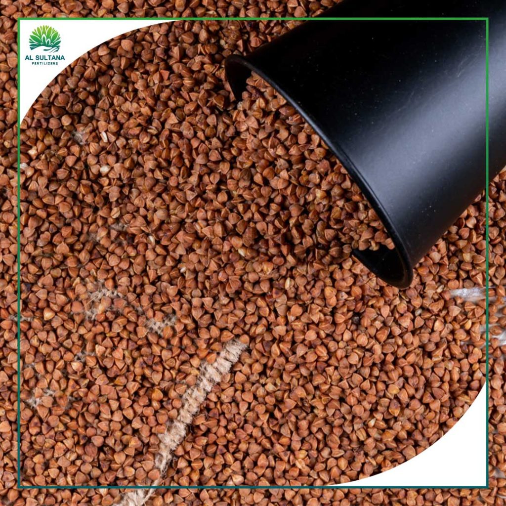 Inside Our Factory: The Production Stages of High-Quality NPK Fertilizer