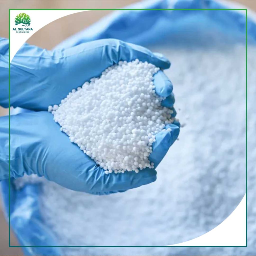 Technical Aspects of Urea N46 Production