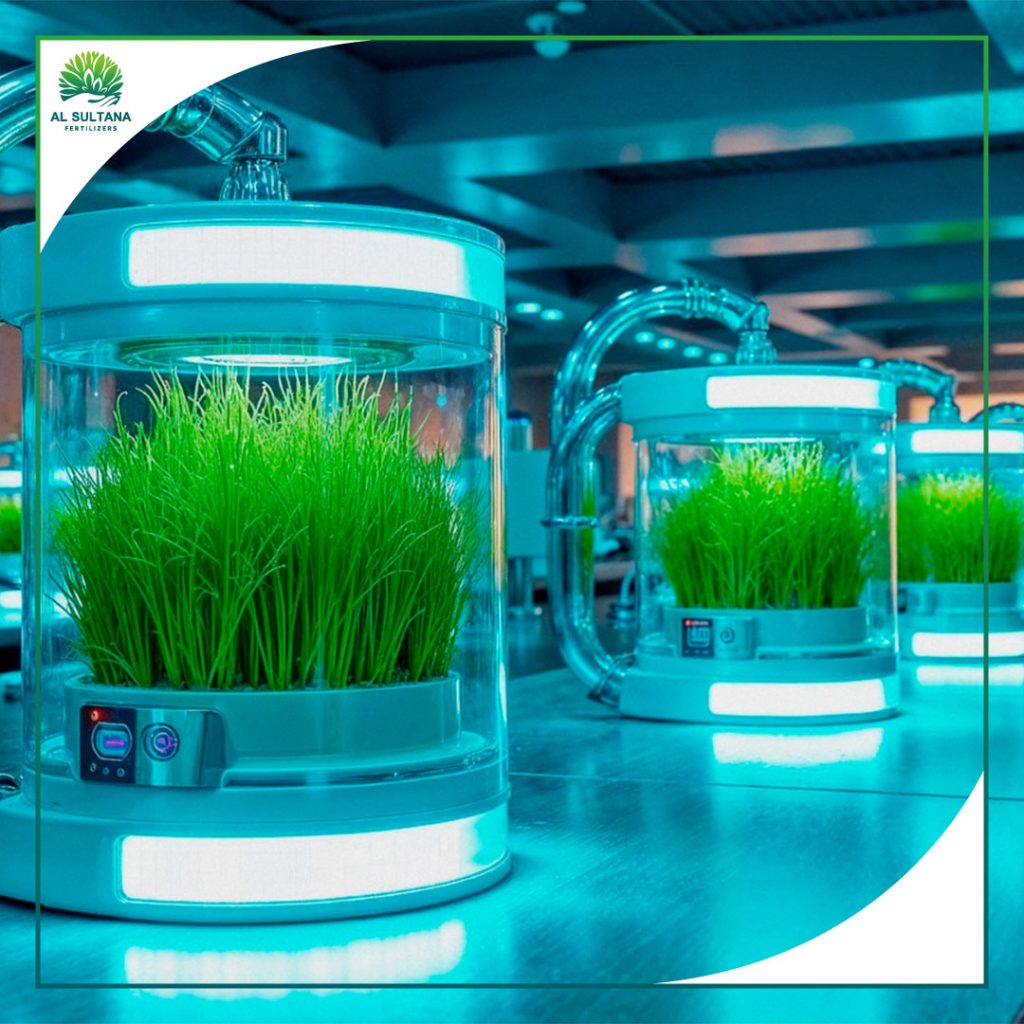 Inside Our Factory: The Production Stages of High-Quality NPK Fertilizer