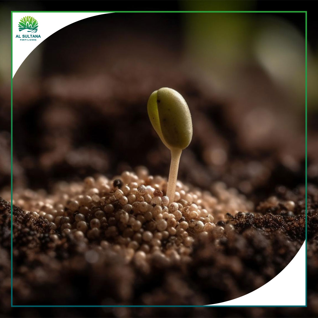 Inside Our Factory: The Production Stages of High-Quality NPK Fertilizer