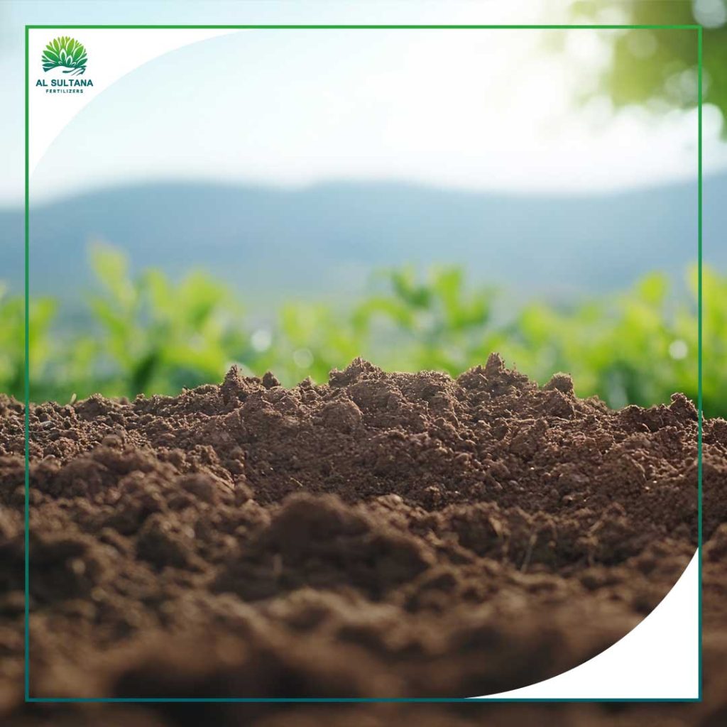 Soil-Analysis-Before-Fertilization-Types of  soil Analysis